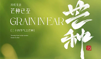 力德彼洋（零奔洋）丨芒种节气